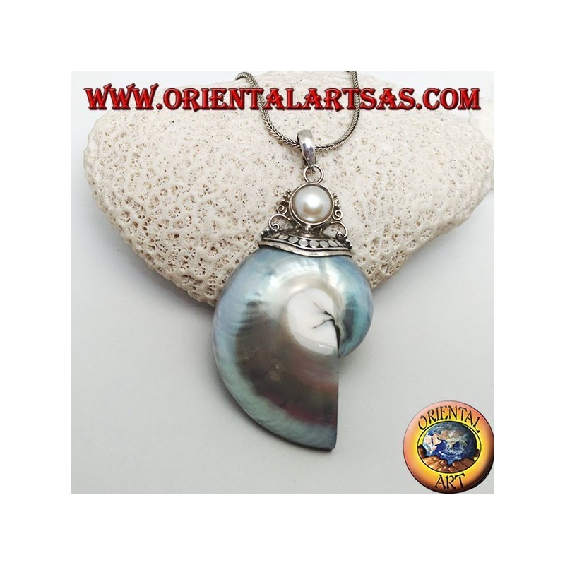 Nautilus Fossil silver pendant (mollusk) surrounded by a silver hook decorated with pearl