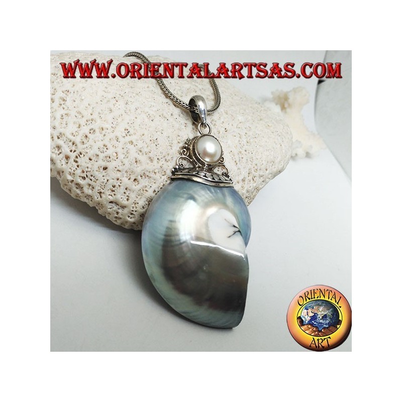 Ciondolo in argento Nautilus Fossil (mollusco) incornato da gancio in argento decorato con perla