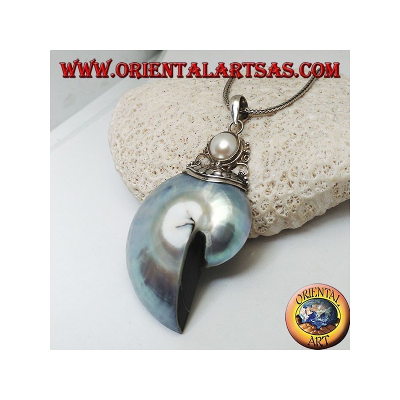 Colgante de plata Nautilus Fossil (molusco) rodeado de un gancho de plata decorado con perlas