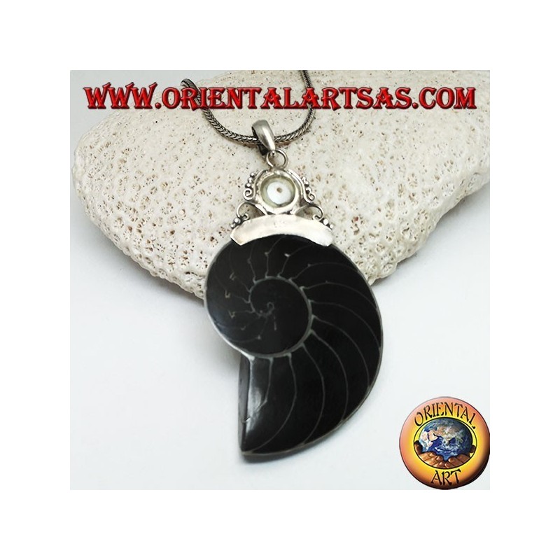 Nautilus Fossil silver pendant (mollusk) surrounded by a silver hook decorated with pearl