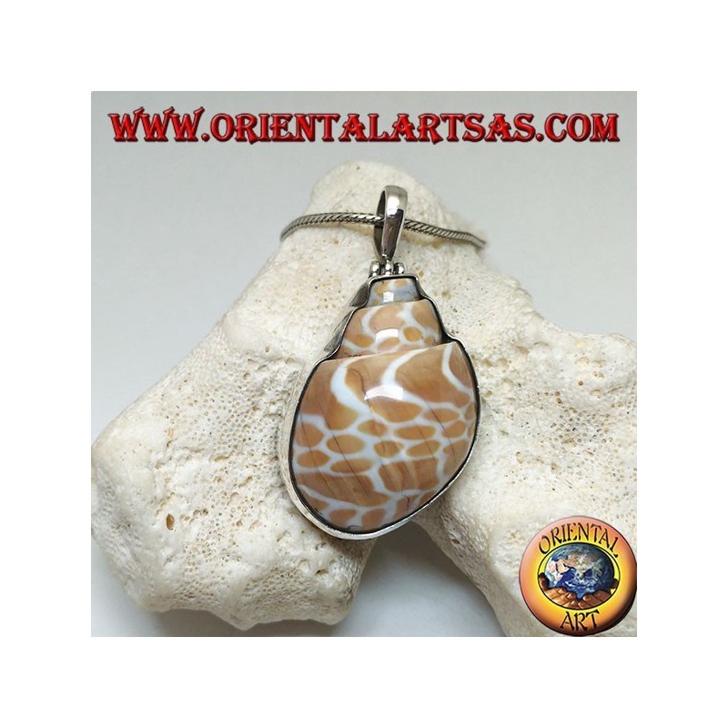 Pendentif en argent avec gastéropode marin fossile (coquille / coquille)