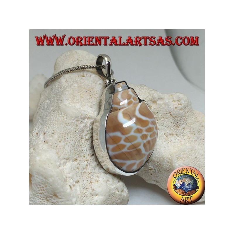 Ciondolo in argento con gasteropode marino fossile (guscio/conchiglia)