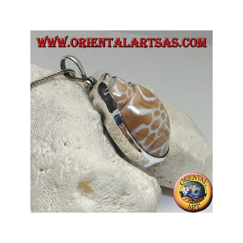 Ciondolo in argento con gasteropode marino fossile (guscio/conchiglia)