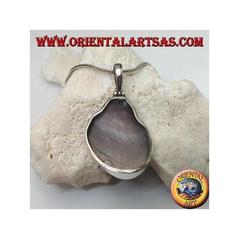 Colgante de plata con gasterópodo marino fósil (concha / concha)