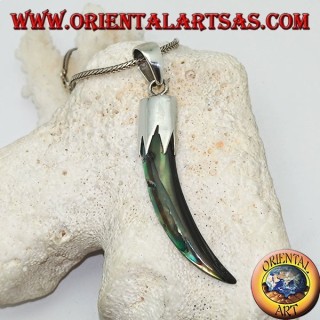 Silver pendant with Abalone Paua horn with hood