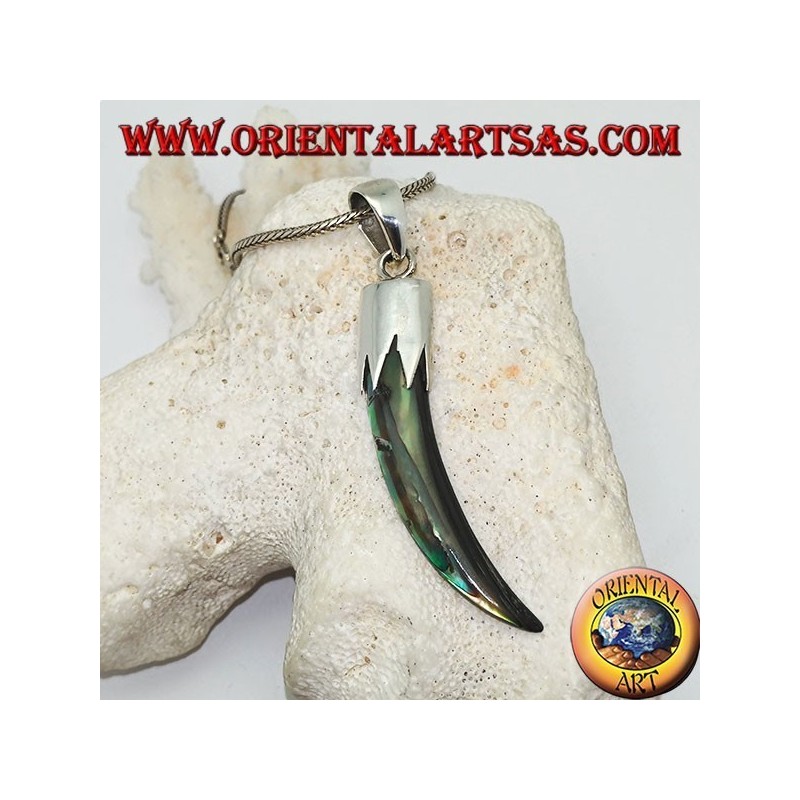 Pendentif en argent avec corne Paua Abalone avec capuche