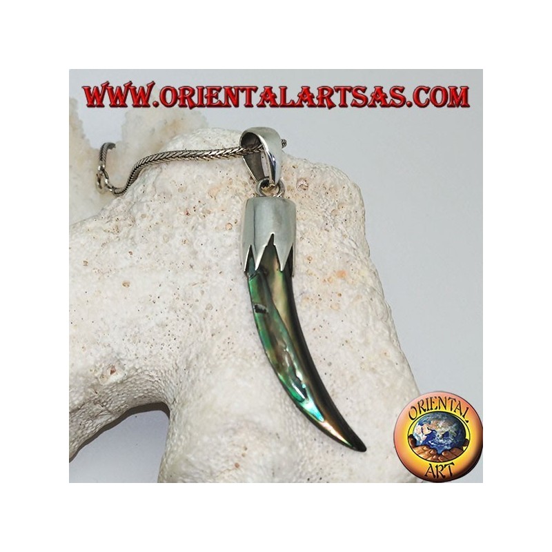 Silver pendant with Abalone Paua horn with hood