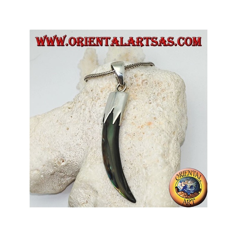 Silver pendant with Abalone Paua horn with hood