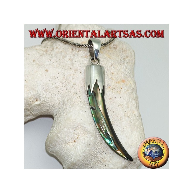 Silver pendant with Abalone Paua horn with hood