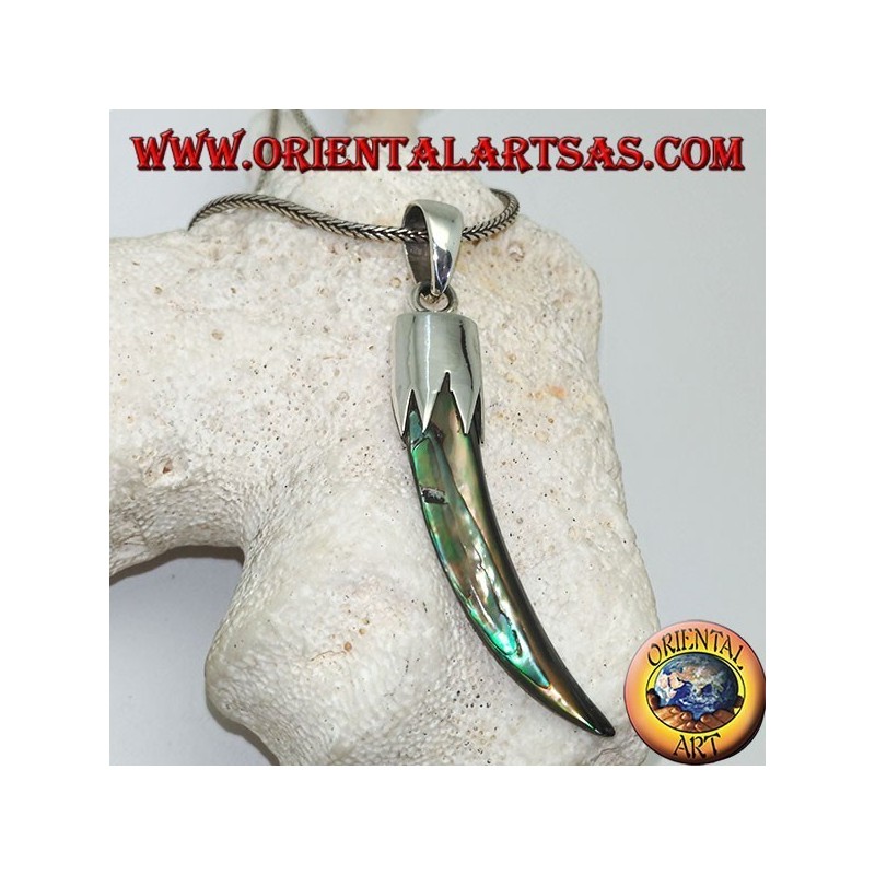 Silver pendant with Abalone Paua horn with hood