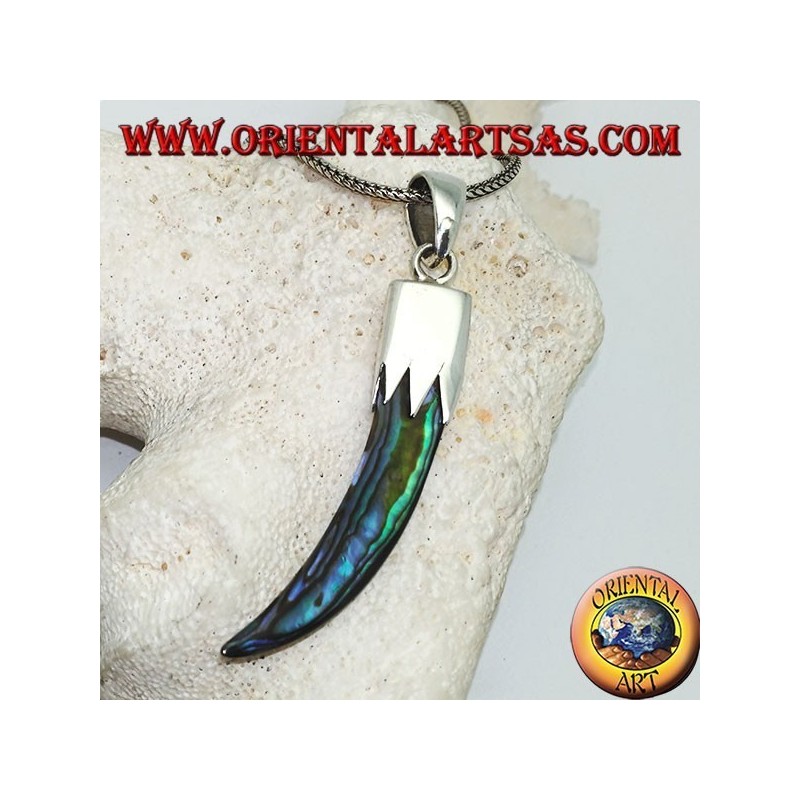 Silver pendant with Abalone Paua horn with hood