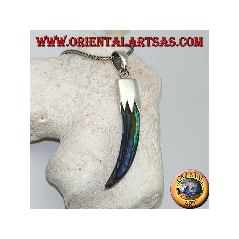 Silver pendant with Abalone Paua horn with hood