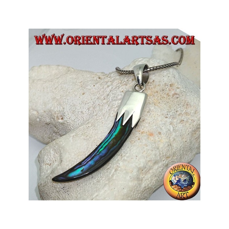 Silver pendant with Abalone Paua horn with hood