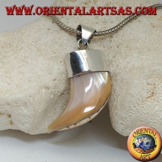 Colgante ancho de plata con caliostoma de nácar