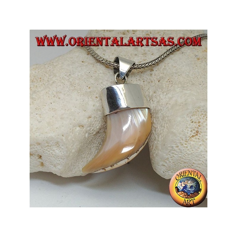 Wide Calliostoma mother-of-pearl silver pendant