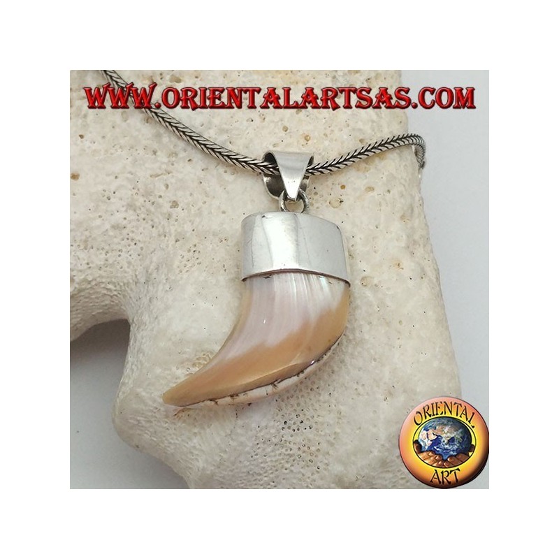 Colgante ancho de plata con caliostoma de nácar