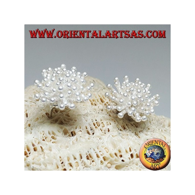 Silver lobe earrings in the shape of a sea anemone with satin finish (large)
