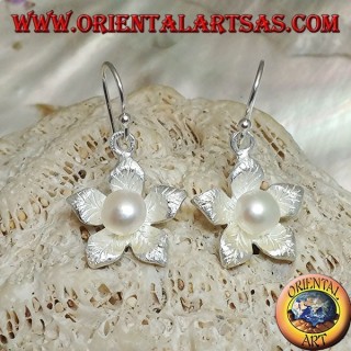 Silver earrings with leaf in the shape of a pendant satin star and white water pearl