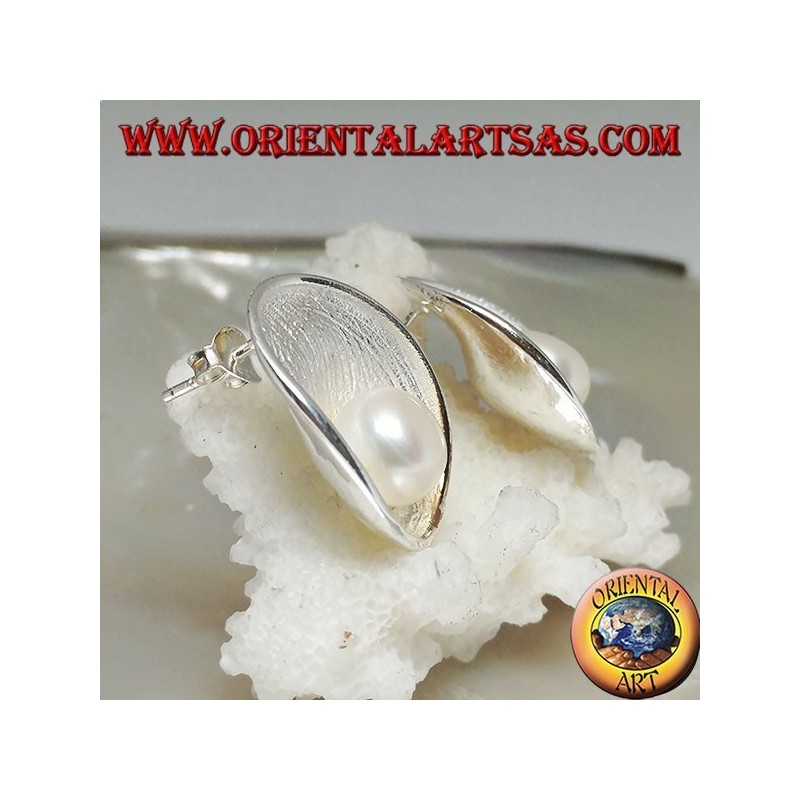 Silver lobe earrings with satin mother shell inside and white freshwater pearl