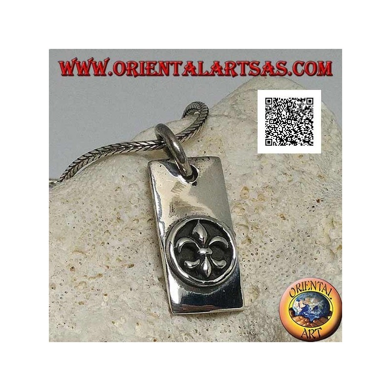 Pendentif en argent, plaque rectangulaire épaisse avec lys, figure héraldique, en haut relief dans un cercle