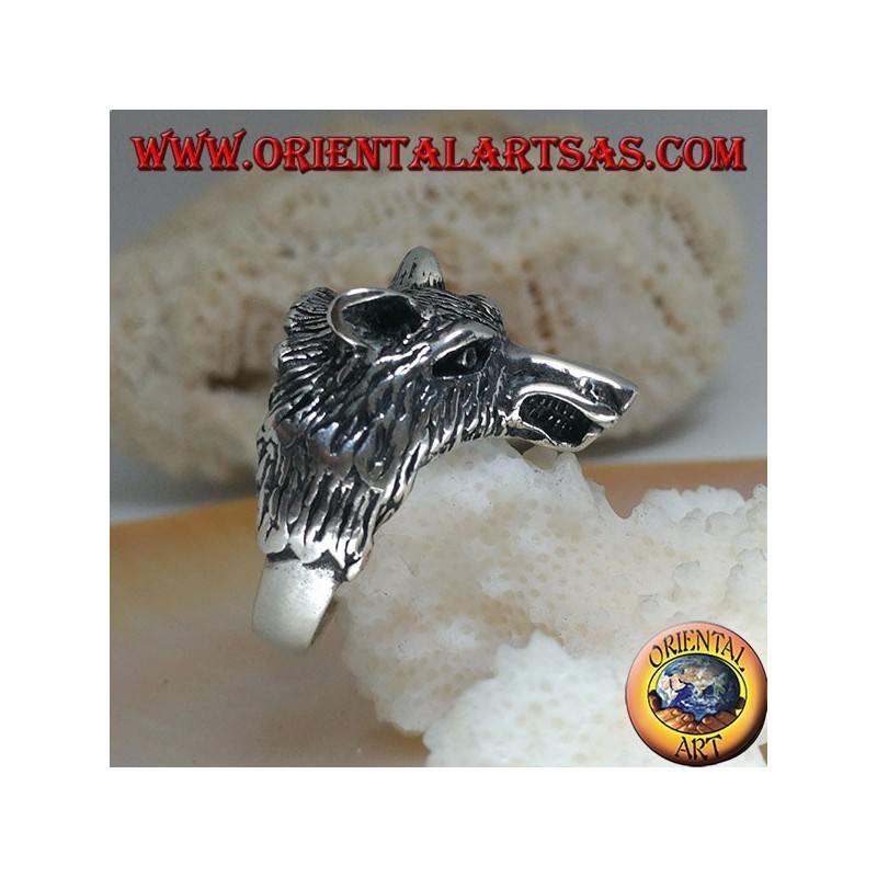 Silver ring, Arctic wolf head or massive snow wolf (medium)