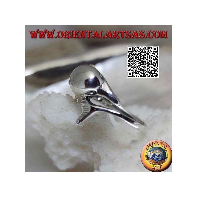 Silberring, Delphin jagt sein Ding (Ouroboros)