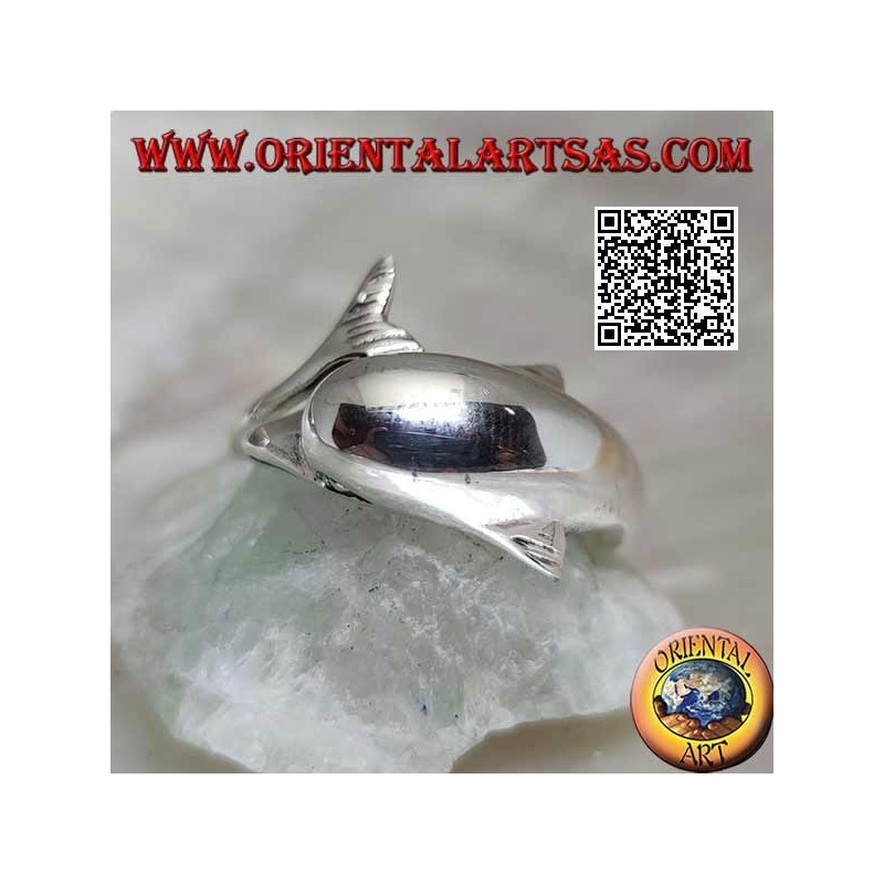 Silberring, Delphin jagt sein Ding (Ouroboros)
