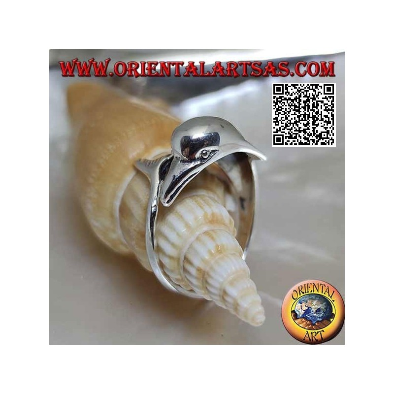Silver ring, dolphin chasing his thing (Ouroboros)