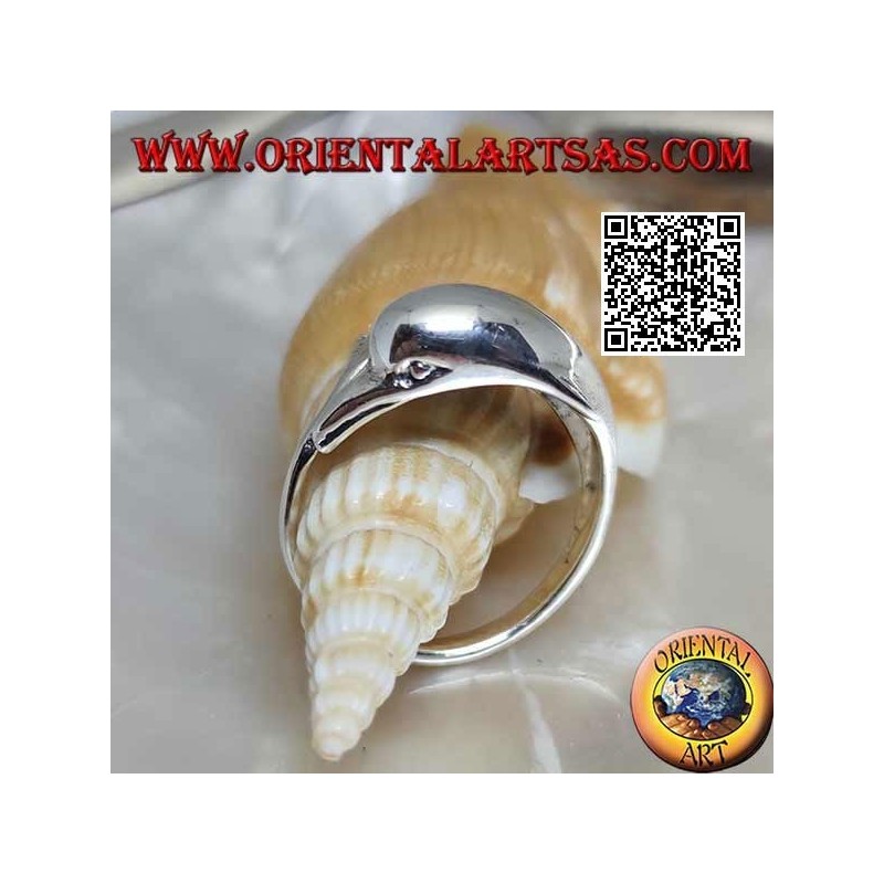 Silberring, Delphin jagt sein Ding (Ouroboros)