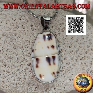 Pendentif en argent avec une partie de gastéropode marin fossile (coquille / conque) affleurant sur un sertissage lisse