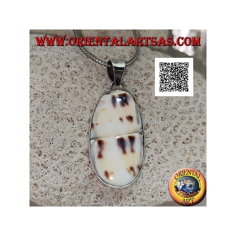 Pendentif en argent avec une partie de gastéropode marin fossile (coquille / conque) affleurant sur un sertissage lisse