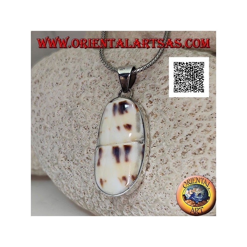 Silver pendant with part of fossil marine gastropod (shell / conch) flush on smooth setting