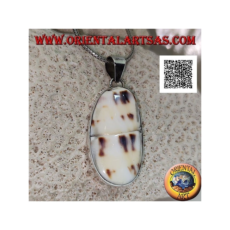Silver pendant with part of fossil marine gastropod (shell / conch) flush on smooth setting