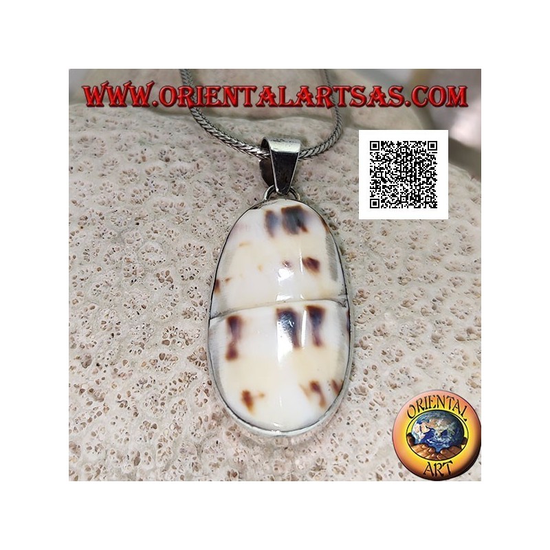 Pendentif en argent avec une partie de gastéropode marin fossile (coquille / conque) affleurant sur un sertissage lisse