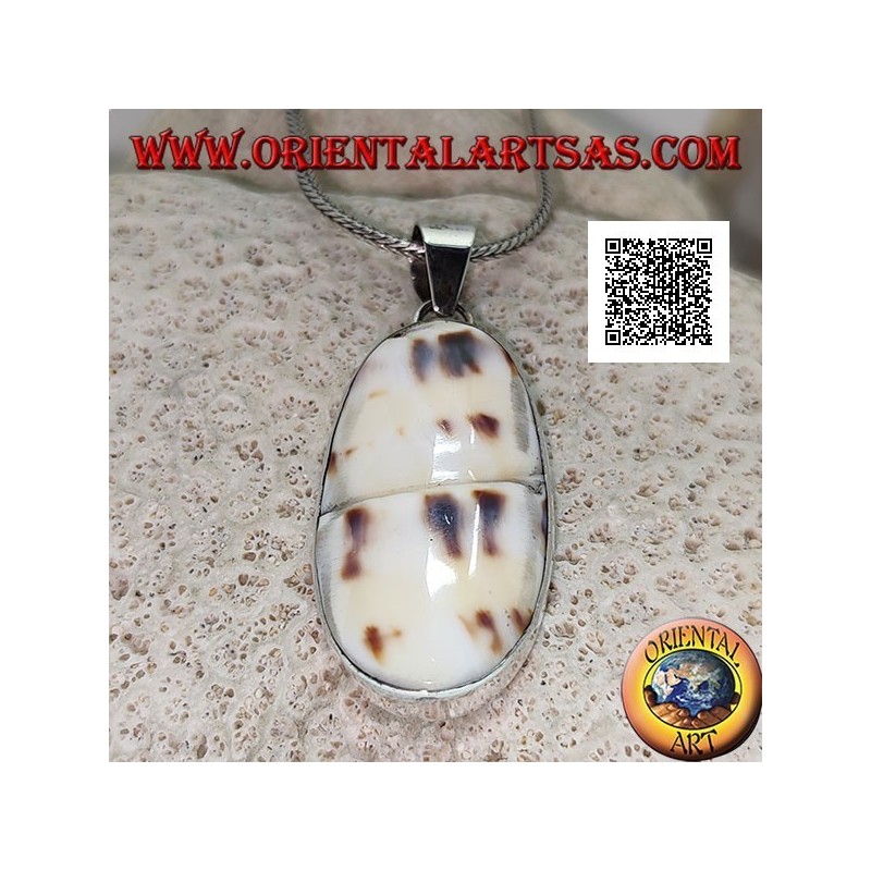Pendentif en argent avec une partie de gastéropode marin fossile (coquille / conque) affleurant sur un sertissage lisse