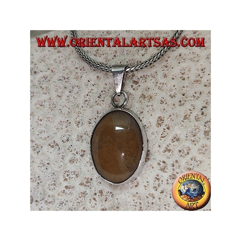 Silver pendant with oval cabochon tiger jasper with smooth frame