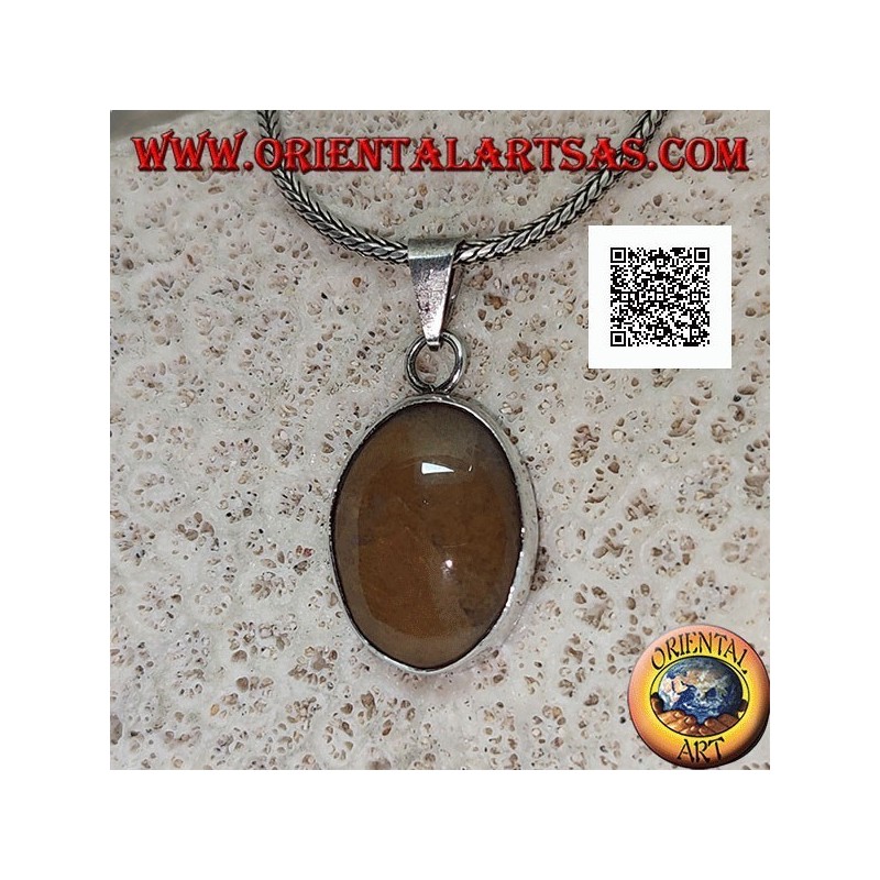 Pendentif en argent avec jaspe tigre cabochon ovale avec cadre lisse