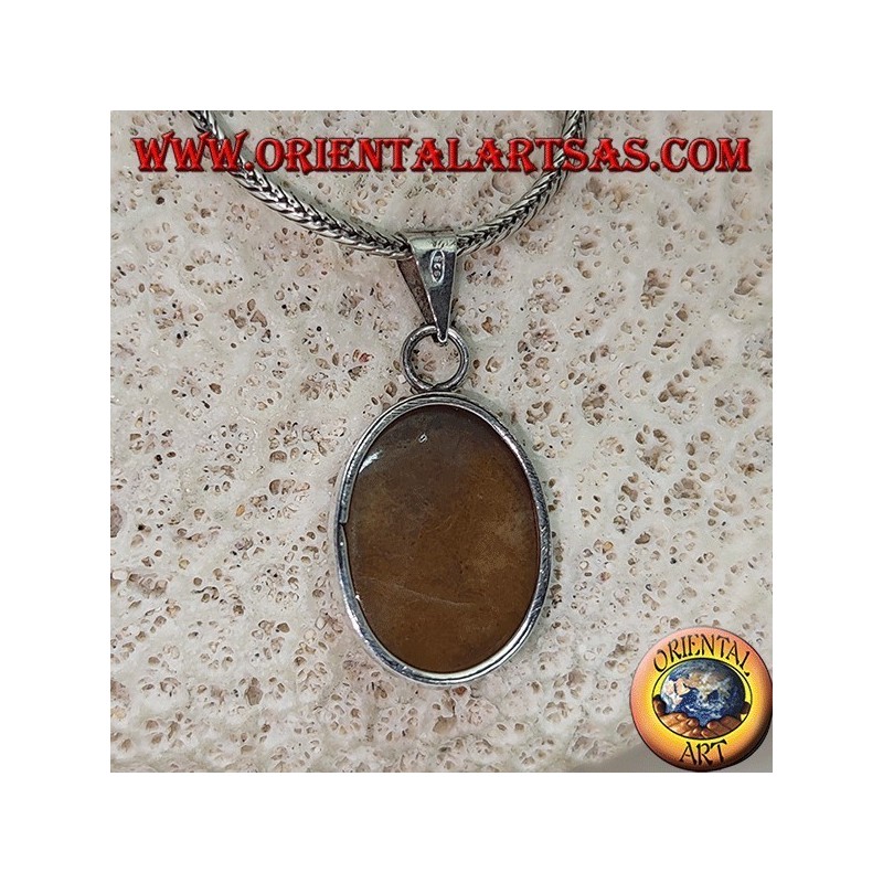 Pendentif en argent avec jaspe tigre cabochon ovale avec cadre lisse
