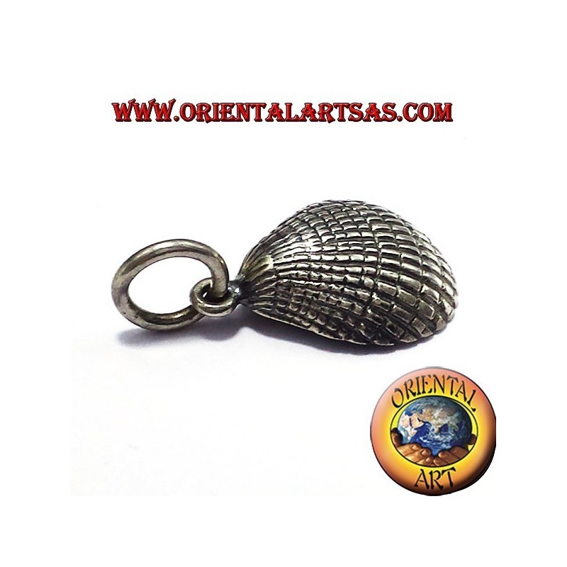 conchas colgante de plata