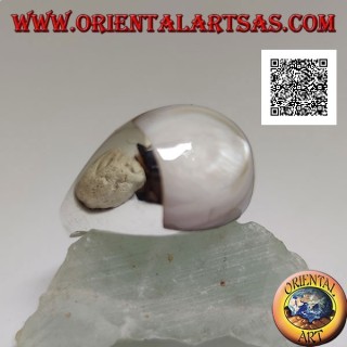 Silver ring with rounded rectangular mother-of-pearl on a smooth setting