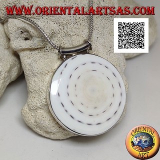 Silver pendant with large round gastropod on smooth side frame and tubular hook