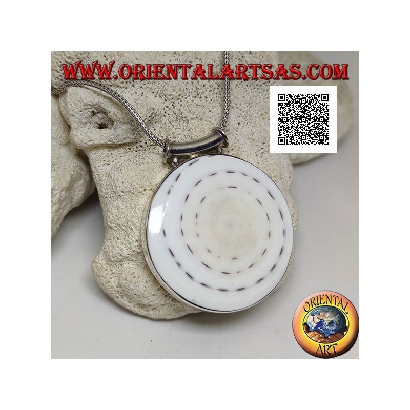 Silver pendant with large round gastropod on smooth side frame and tubular hook