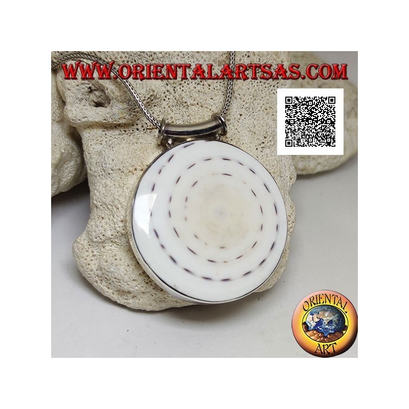 Pendentif en argent avec grand gastéropode rond sur cadre latéral lisse et crochet tubulaire