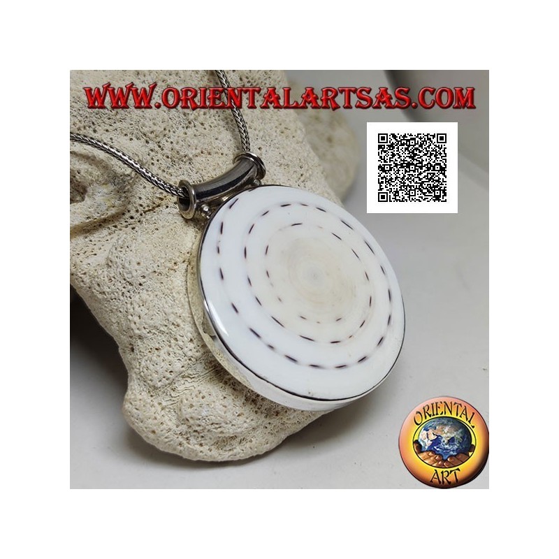 Pendentif en argent avec grand gastéropode rond sur cadre latéral lisse et crochet tubulaire