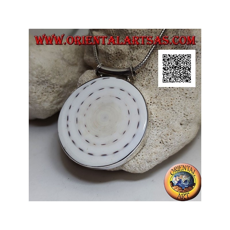 Colgante de plata con gasterópodo redondo grande sobre marco lateral liso y gancho tubular