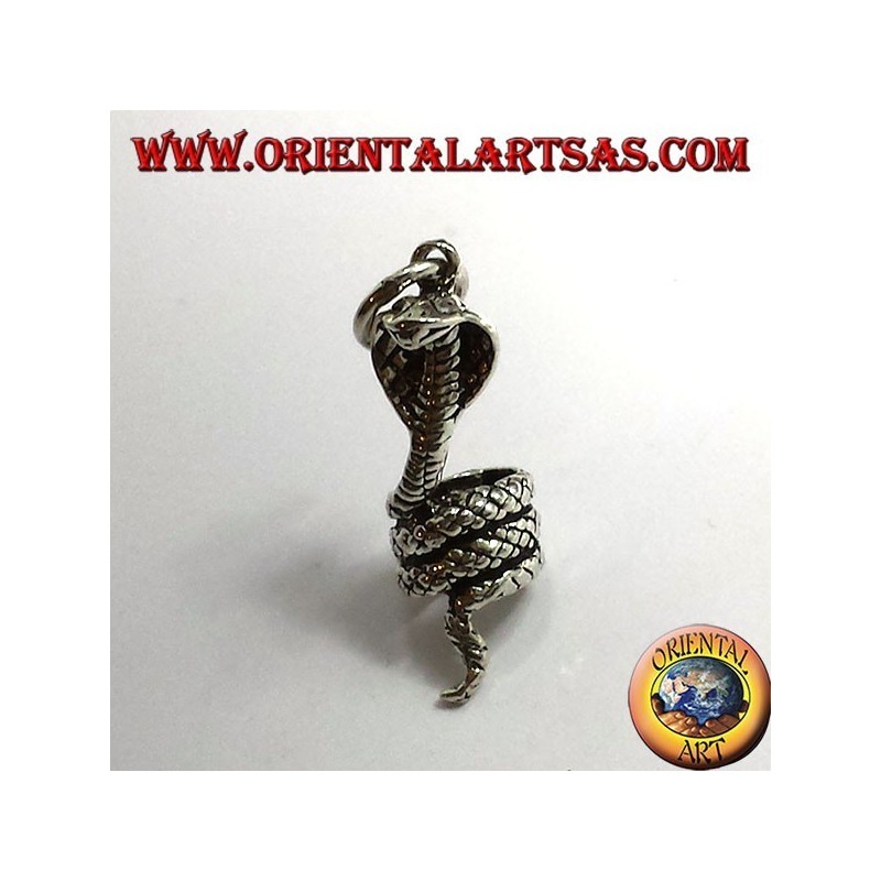 cobra enroscada colgante de plata