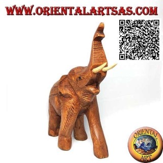 Scultura di un elefante tailandese con proboscide in su e zanne sporgenti, in legno di teak (21cm)