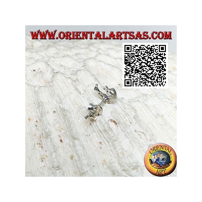 Mini silver earring, the crescent with the star (a)