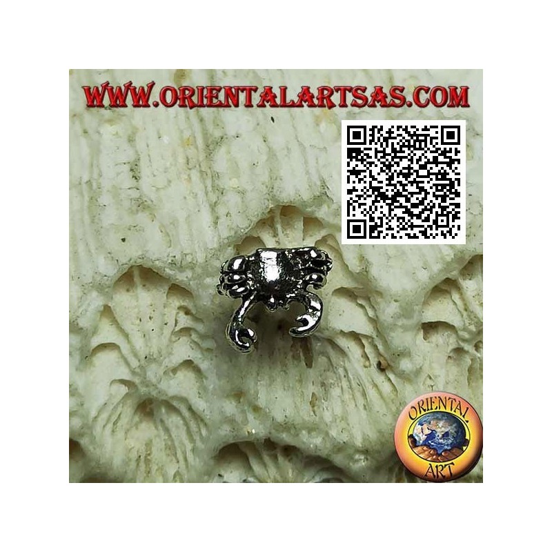 Mini silver earring, the big crab