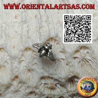 Mini silver earring, the hornet